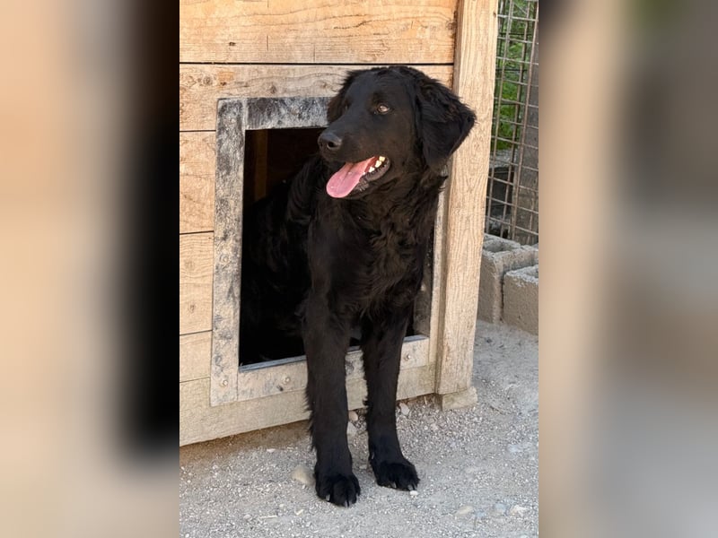 Yuki ❤️ froher, aufgeschlossener junger Bub!
