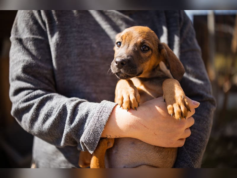 Tilly ❤️ aufgeweckte, lebenslustige Maus