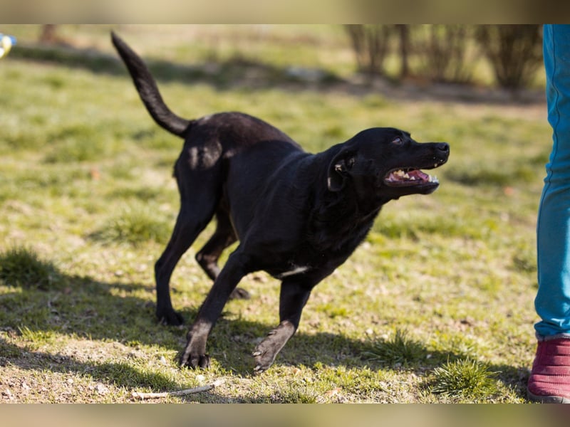 Coolio - wunderbar fröhlicher aktiver Bub