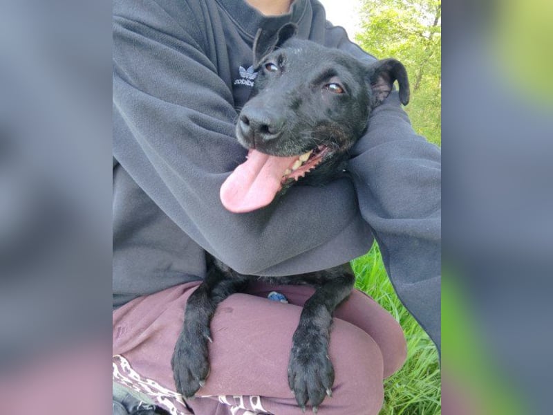 ♥Hana♥ wundervolle, liebe Zuckerschnute