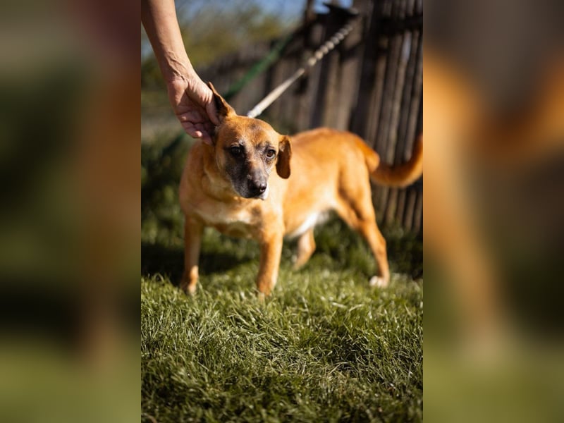 Liebste ♥Senka♥ mit einem großen Herzen