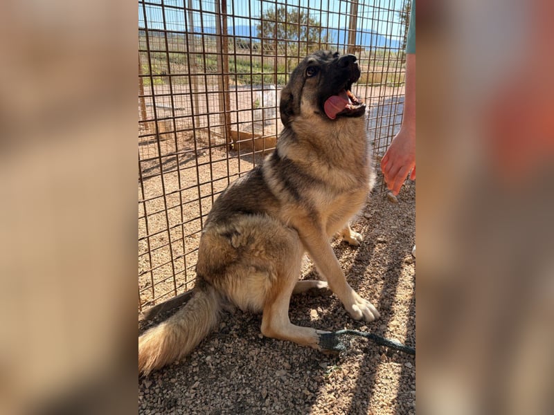 COCO❤️verspielt, sanft und voller Vertrauen: ein Herz für Groß und Klein!