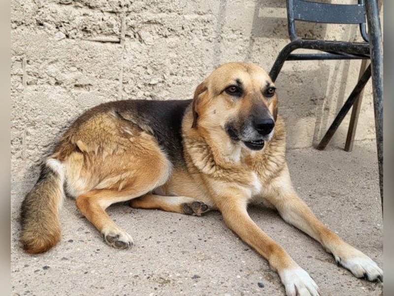 Bezaubernde Sersi wartet auf Dich!