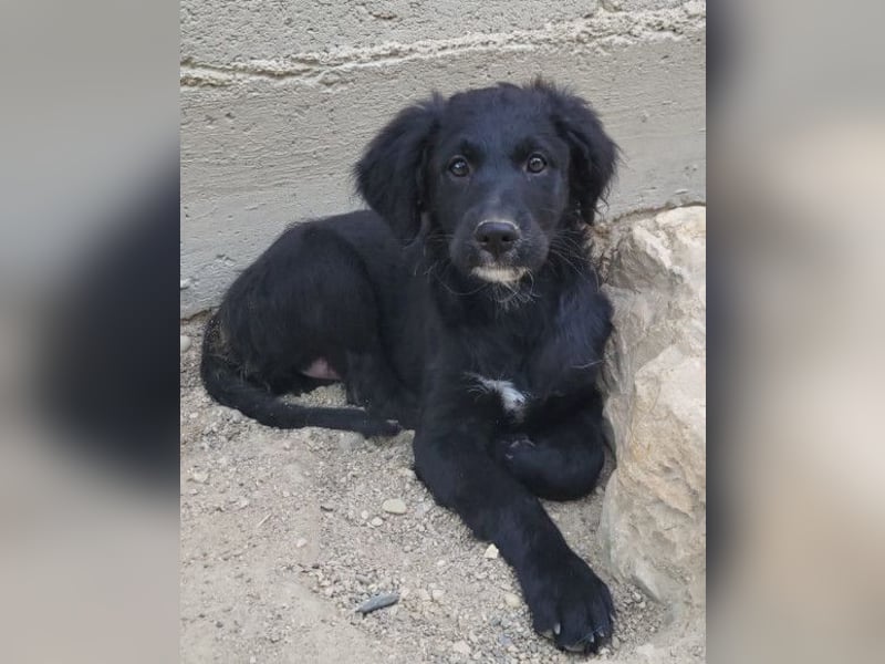 Mila ❤️ so süßes + lebensfrohes Mädchen!