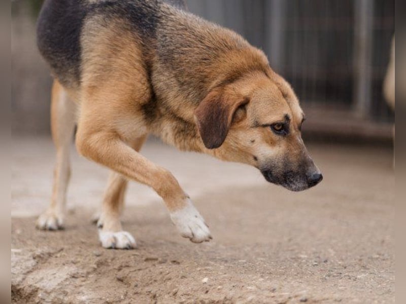 Bezaubernde Sersi wartet auf dich!