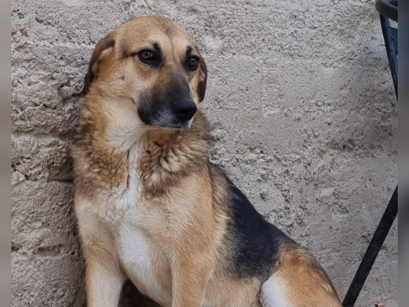 Bezaubernde Sersi wartet auf dich!