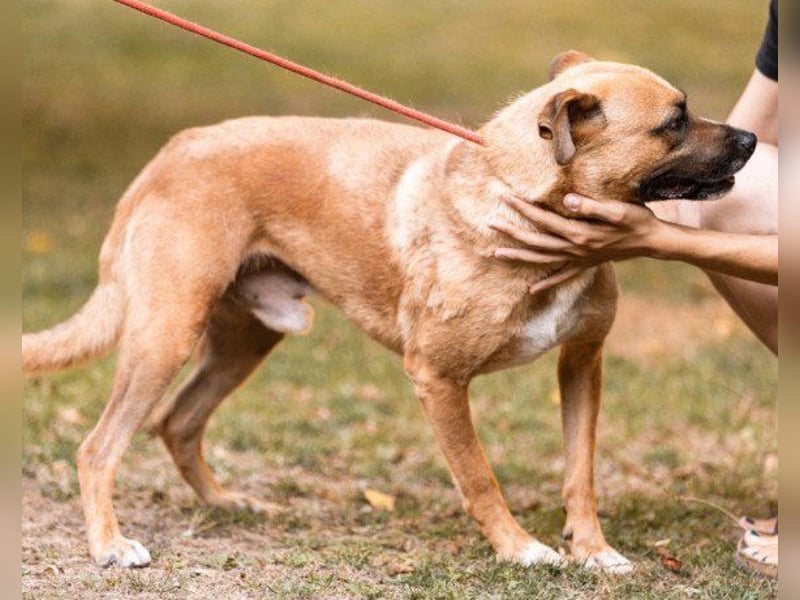 Teddy  wartet schon so lange!