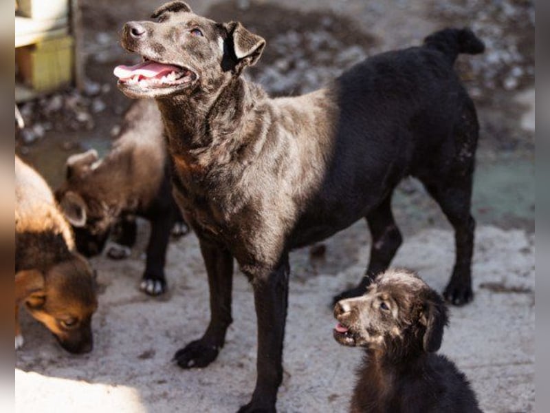 ♥Hana♥ wundervolle, liebe Zuckerschnute