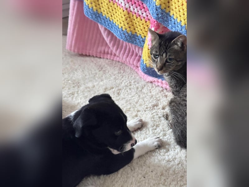 LENNI❤️kleiner Entdecker sucht sein großes Glück!