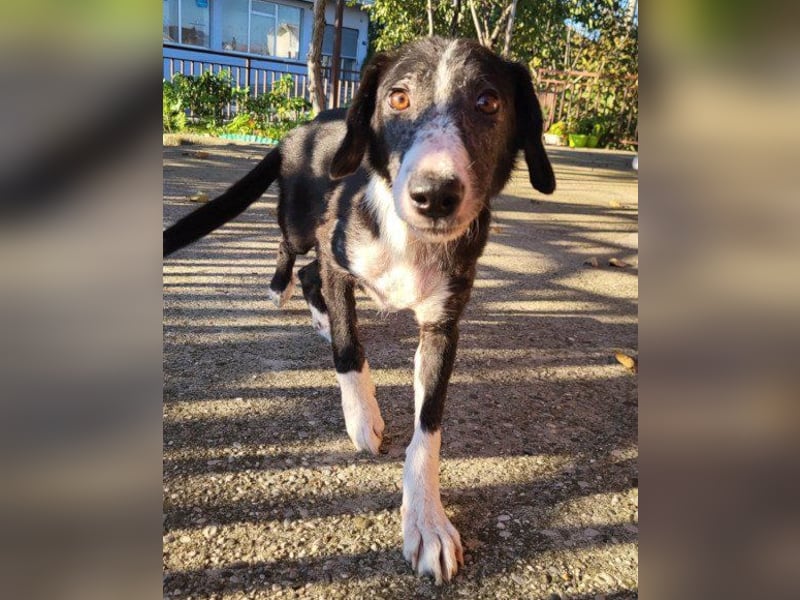 Genießerschnute ♥Mona♥ wartet bereits in 01640 Coswig auf dich/euch