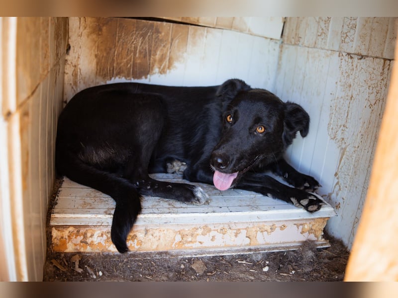 GARA❤️ruhige, sanfte und menschenbezogene Kuschelperle