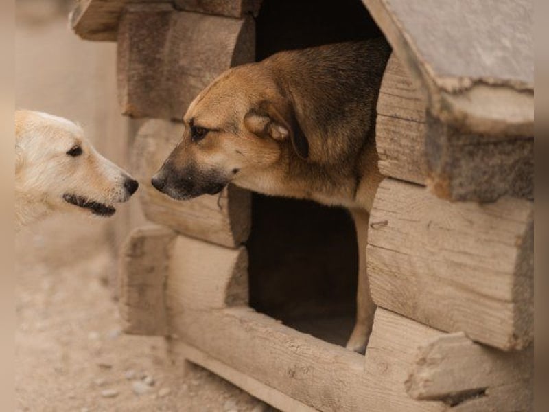 Bezaubernde Sersi wartet auf dich!