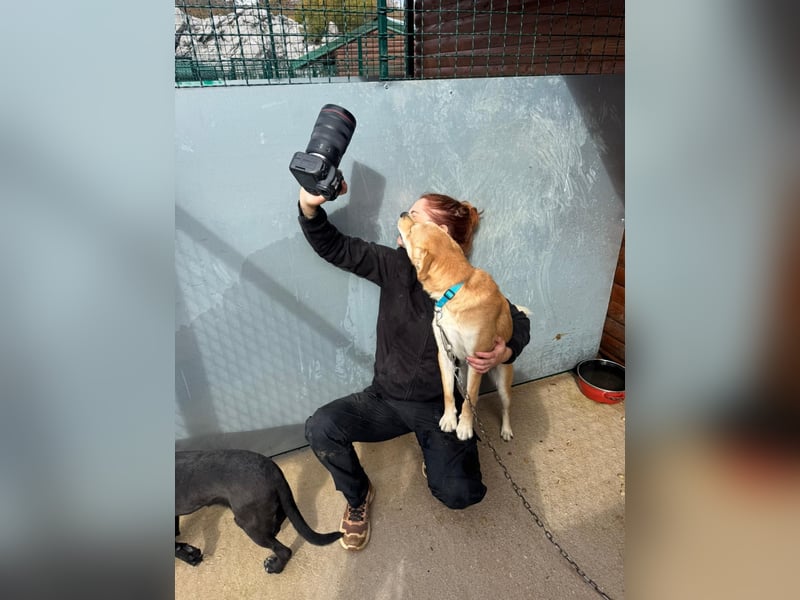 Aki - Zuhause gesucht!