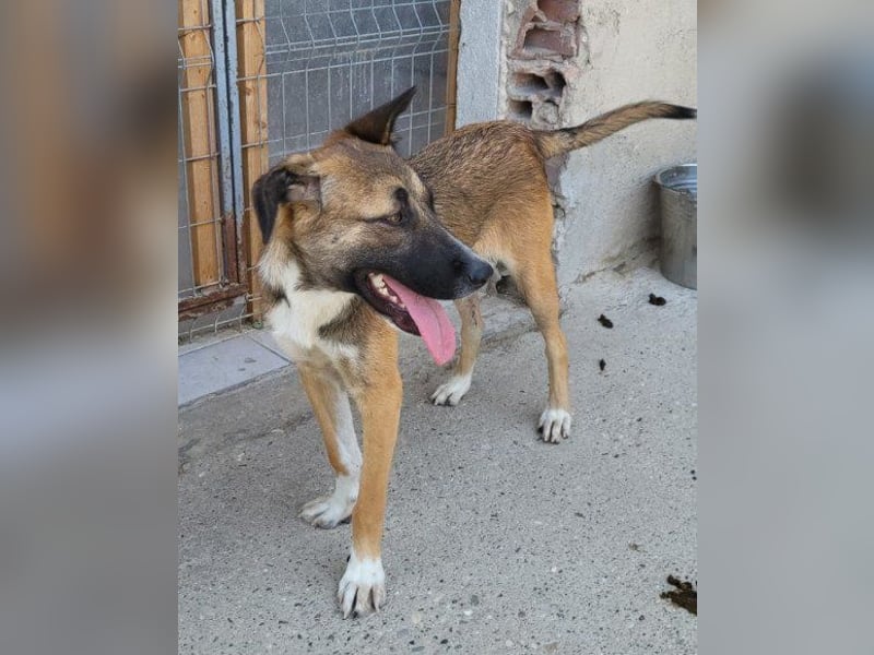 Liebste ♥ Lisa ♥ die pure Lebensfreude