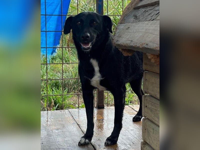 PINA❤️liebe, soziale Schönheit mit Charakter