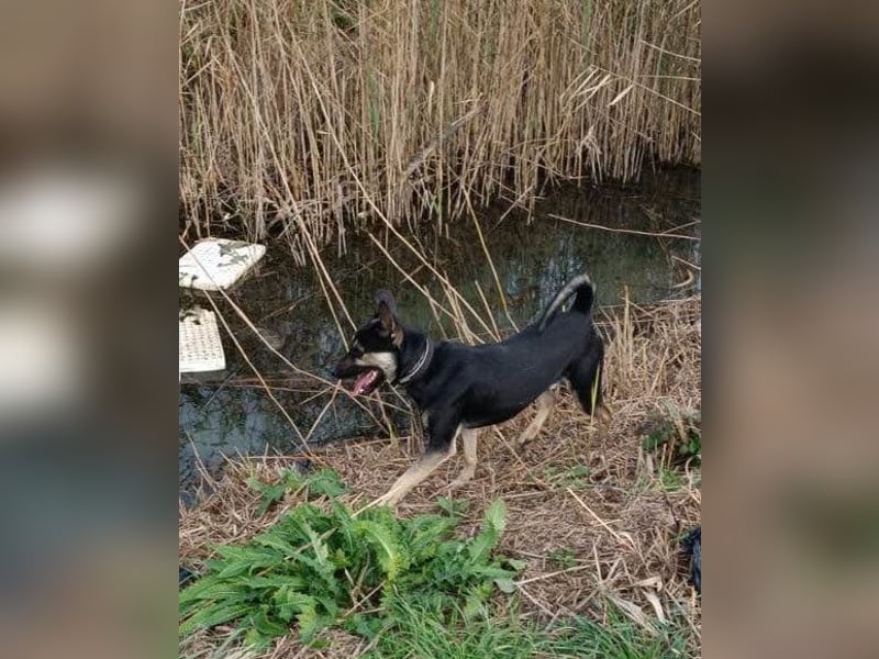Otto ❤️ so freundlich und verträglich!