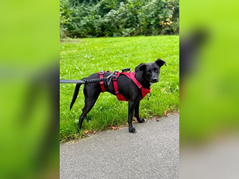 Paula ❤️ wartet in 21493 Schwarzenbek auf deinen Besuch!