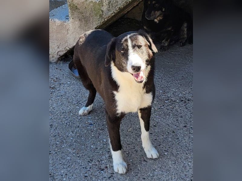 Genießerschnute ♥Mona♥ wartet bereits in 01640 Coswig auf dich/euch