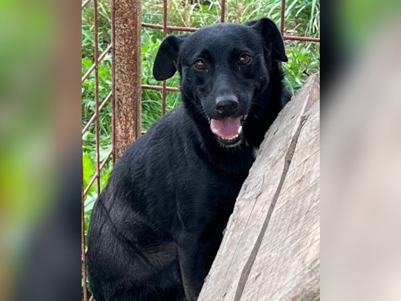 PINA❤️liebe, soziale Schönheit mit Charakter