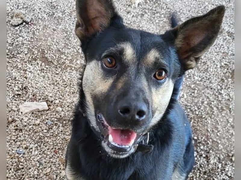 Otto ❤️ so freundlich und verträglich!