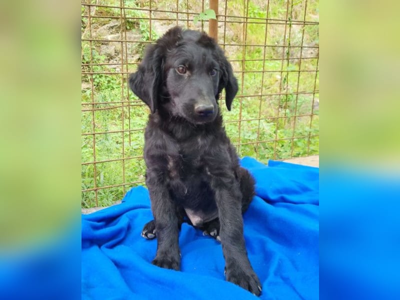 Yuki ❤️ froher, aufgeschlossener Bub!