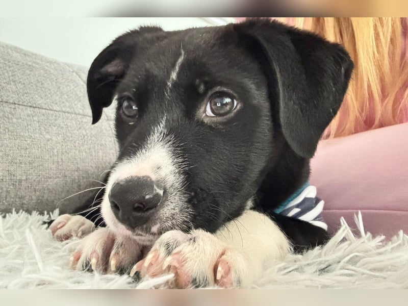 LENNI❤️kleiner Entdecker sucht sein großes Glück!