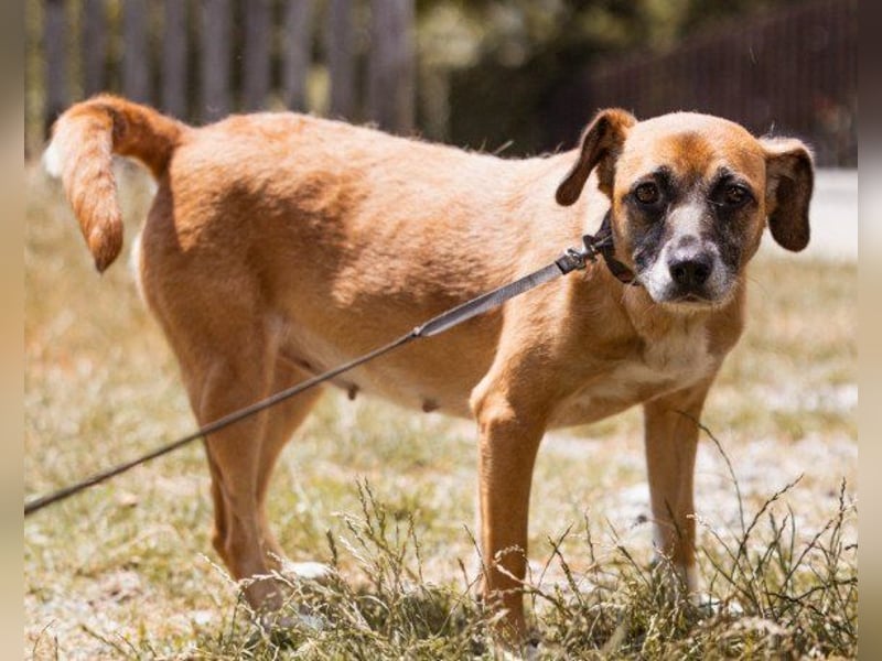 Liebste ♥Senka♥ mit einem großen Herzen