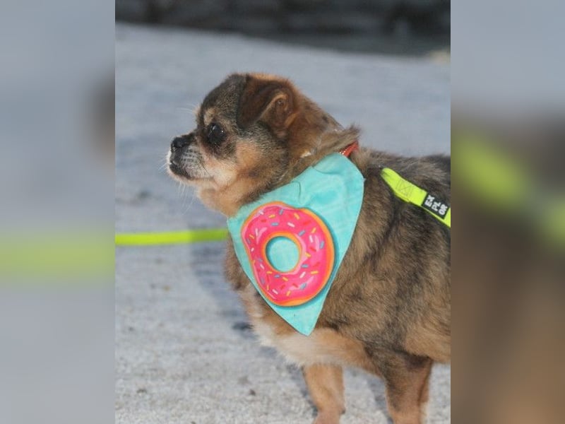 Kika & Max ❤️ gemeinsames Zuhause gesucht