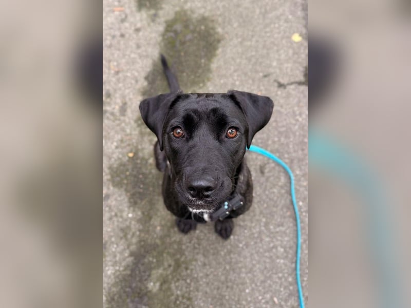 Mika ❤️ wartet in 27419 Klein Meckelsen auf deinen Besuch