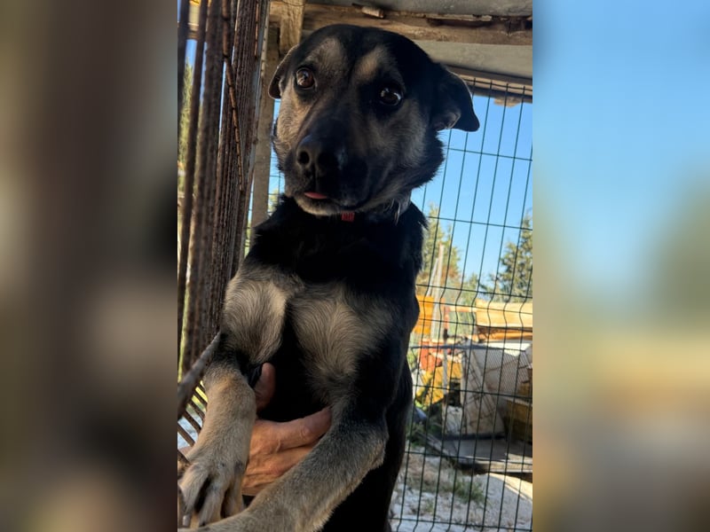 Otto ❤️ so freundlich und verträglich!