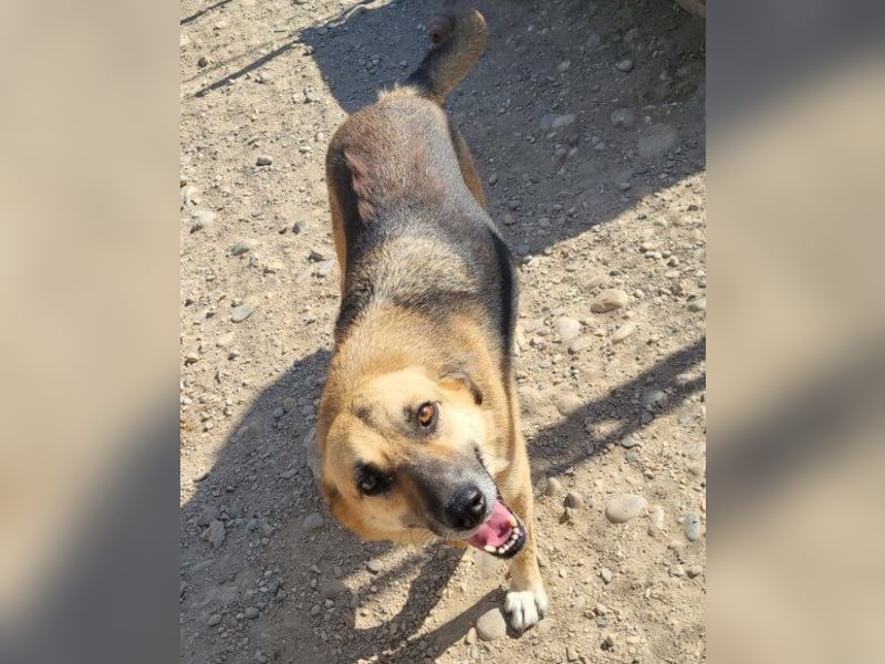 Bezaubernde Sersi wartet auf Dich!