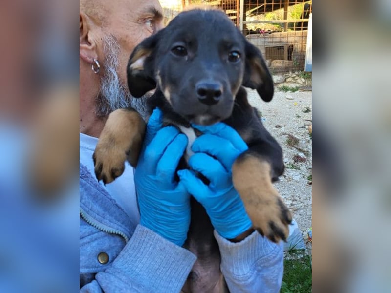 Jonas ❤️ fröhlicher + lebensfroher Schatz!