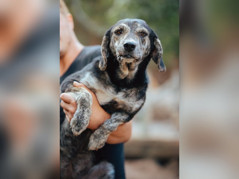 GINA❤️fröhliche, liebevolle und verspielte Flitzpiepe