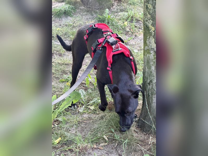 Paula ❤️ wartet in 21493 Schwarzenbek auf deinen Besuch!