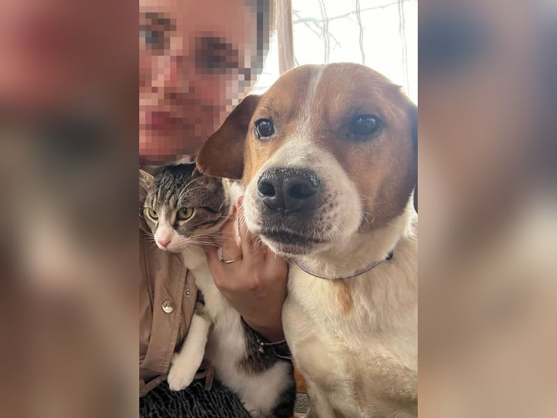 Sony ❤️ Familienhund mit großem Herzen