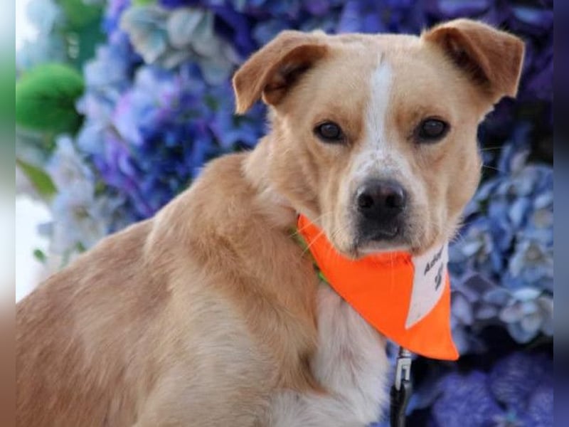 Kika & Max ❤️ gemeinsames Zuhause gesucht