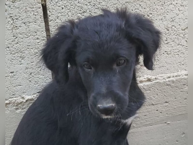 Mila ❤️ so süßes + lebensfrohes Mädchen!