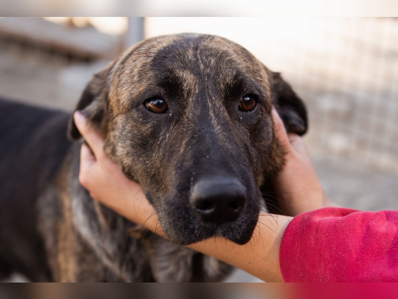 Ludwig ❤️ unser lieber Herzensbrecher Ludwig ❤️ unser lieber Herzensbrecher