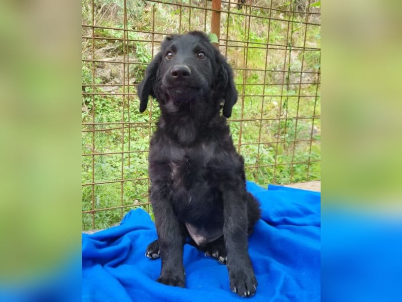 Yuki ❤️ froher, aufgeschlossener junger Bub!