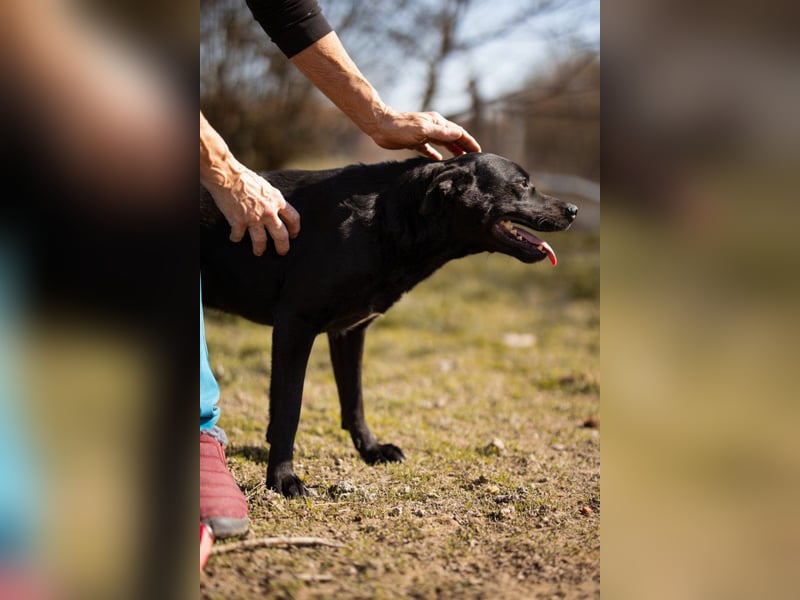Coolio - wunderbar fröhlicher aktiver Bub