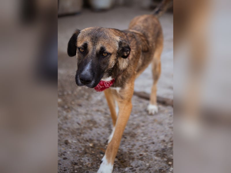 Liebste ♥ Lisa ♥ die pure Lebensfreude