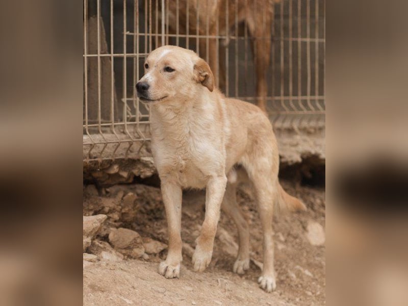 Bob wartet sehnsüchtig auf deine Anfrage