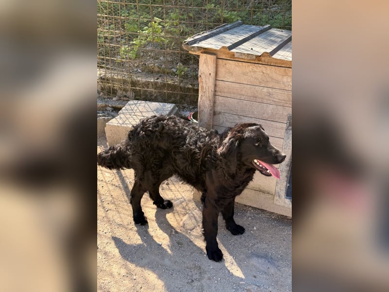 Yuki ❤️ froher, aufgeschlossener junger Bub!