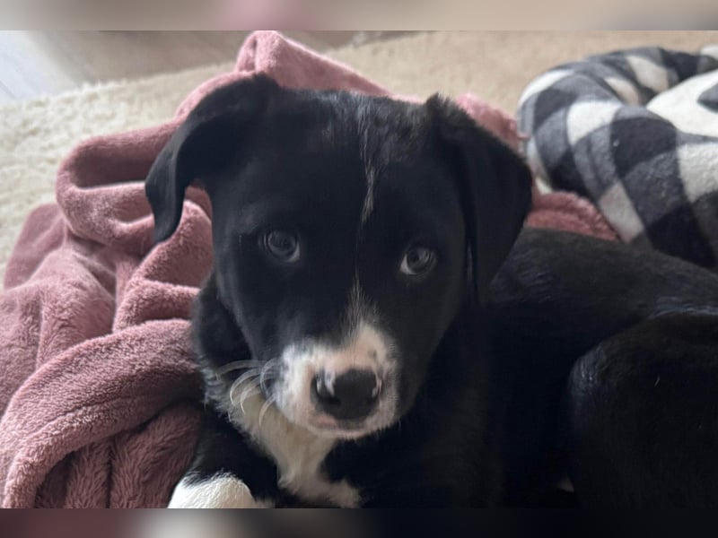 LENNI❤️kleiner Entdecker sucht sein großes Glück!