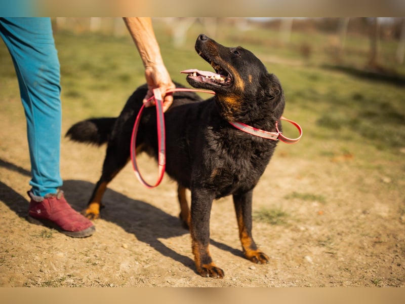 Aktiver ♥Ares♥ sucht aktive Menschen