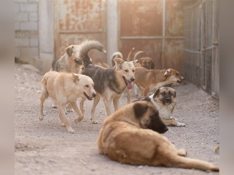 Bob wartet sehnsüchtig auf deine Anfrage