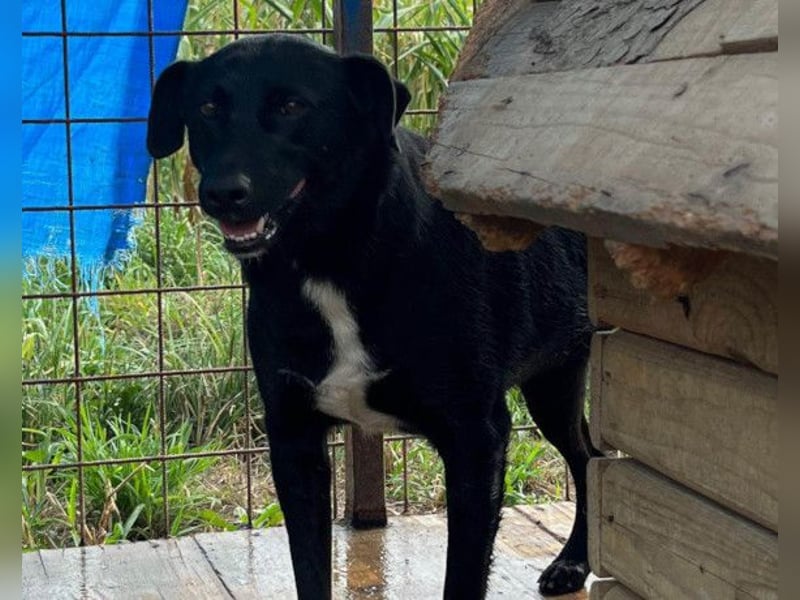 PINA❤️liebe, soziale Schönheit mit Charakter