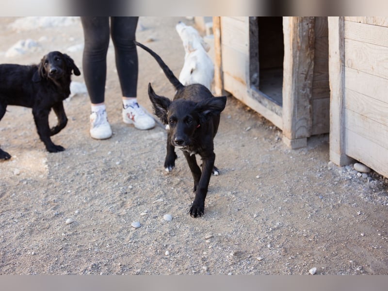 Mila ❤️ so süßes + lebensfrohes Mädchen!