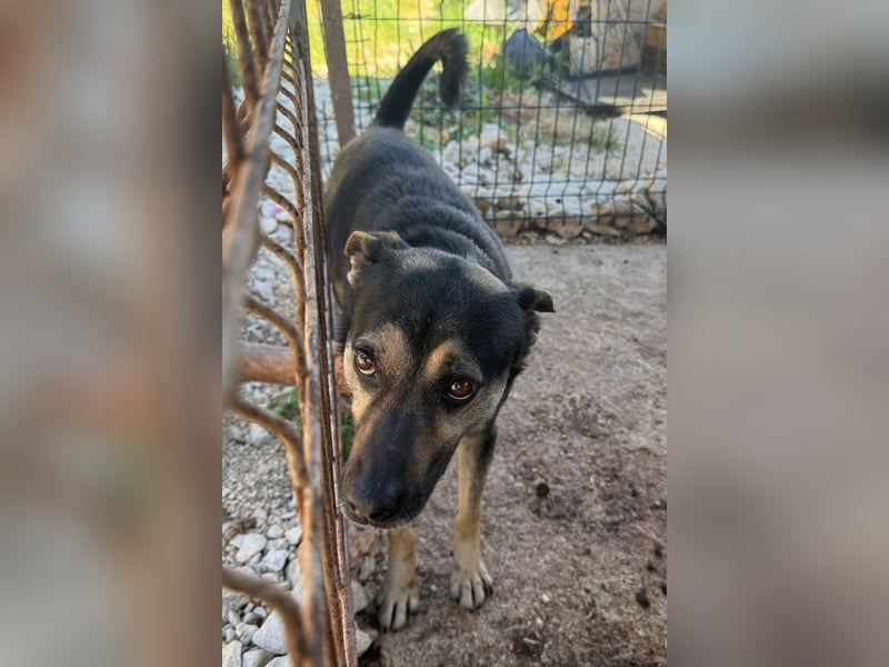 Otto ❤️ so freundlich und verträglich!