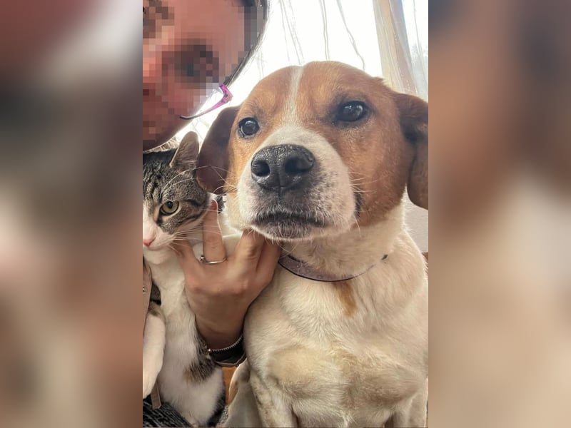 Sony ❤️ Familienhund mit großem Herzen